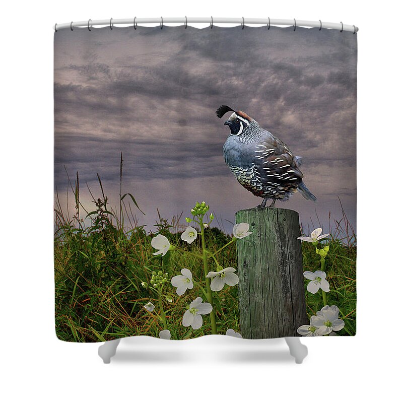 Bird Shower Curtain featuring the digital art California Quail and Milkmaids by M Spadecaller