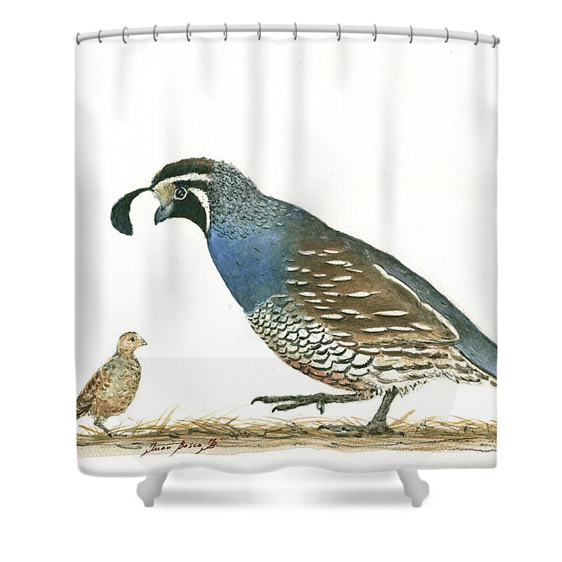 Califronia Shower Curtains