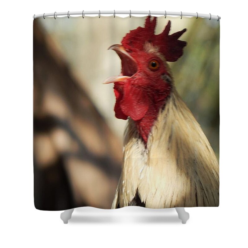 Rooster Chicken Wildlife Animals Birds Alert Warning Signal Habitat Shower Curtain featuring the photograph Call To Attention by Jan Gelders