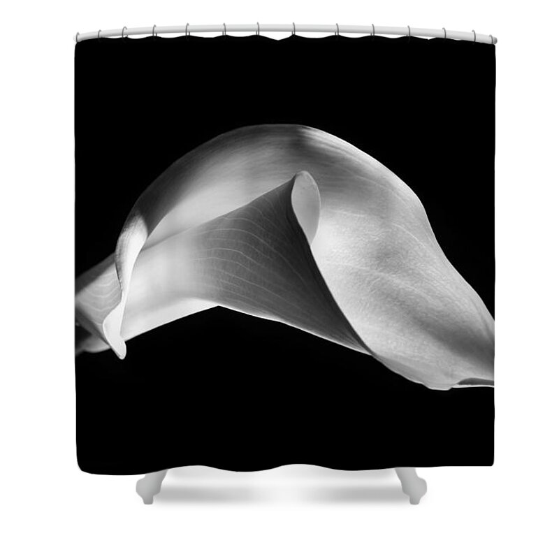 Black And White Shower Curtain featuring the photograph Calla Lily 1 by Lilia S