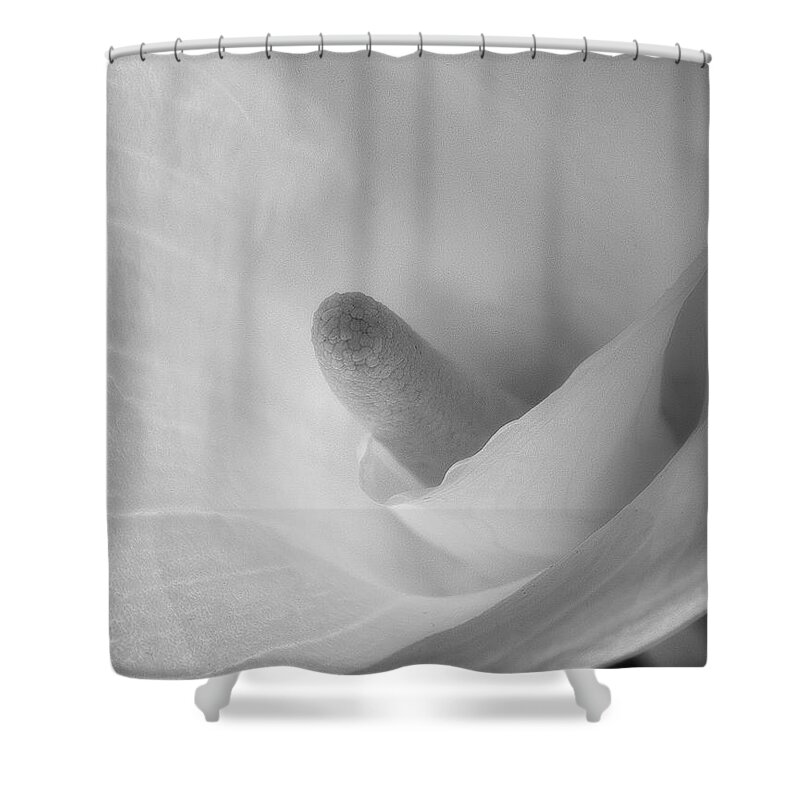 Flower Shower Curtain featuring the photograph Calla Lily by John Roach