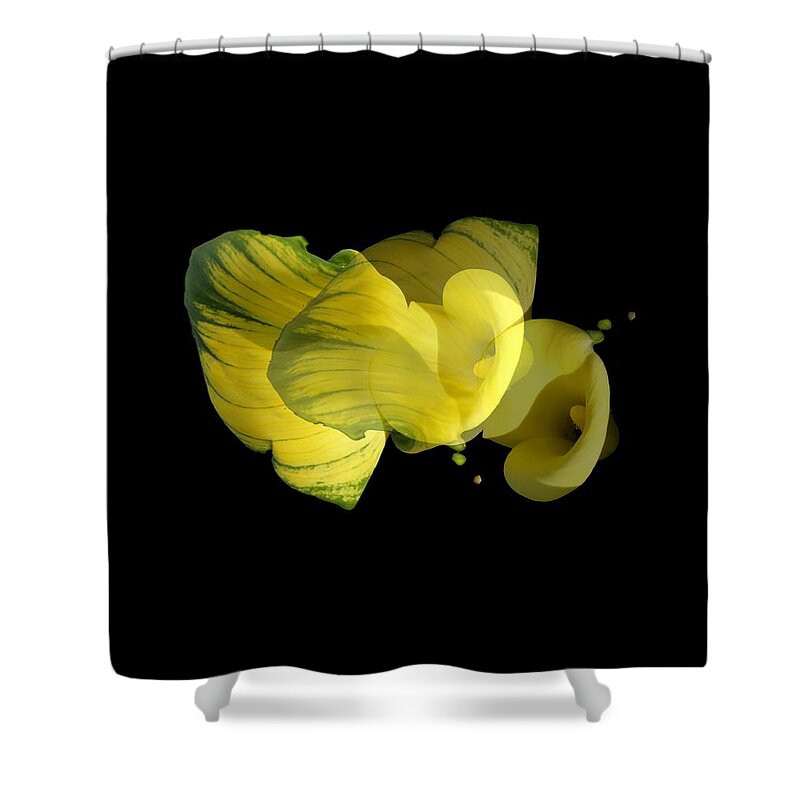 Calla Lily Shower Curtain featuring the photograph Calla Lily by Mike Breau