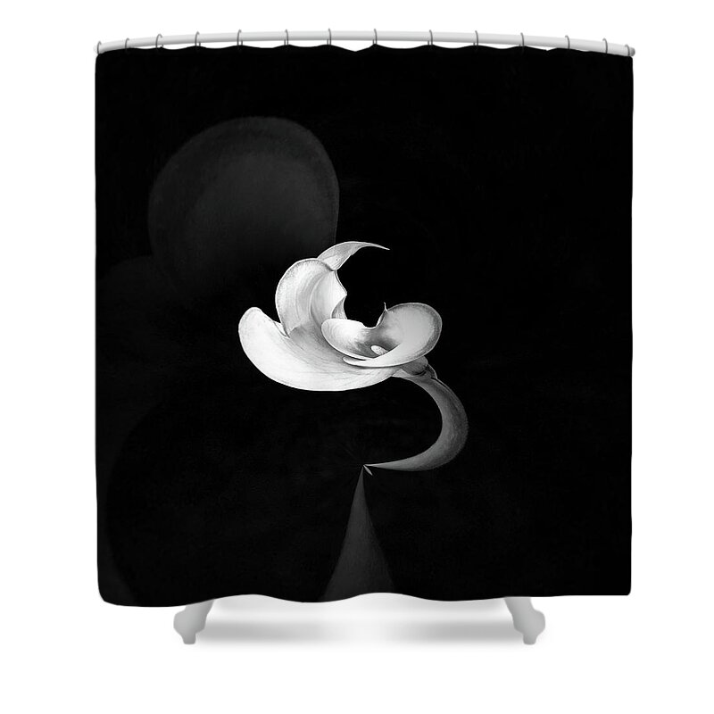 Calla Lily Shower Curtain featuring the photograph Calla Lily Study 1 by Usha Peddamatham