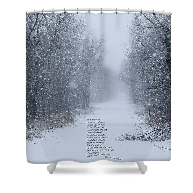 Winter Shower Curtain featuring the photograph Calm of Winter by Elizabeth Winter