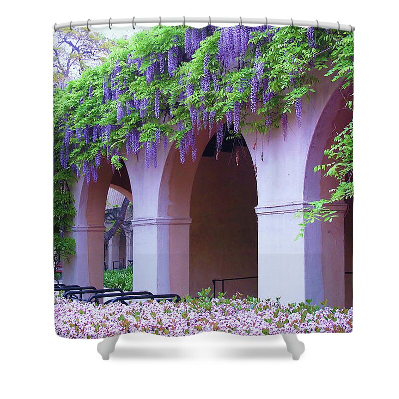 Wisteria Flowers Shower Curtain featuring the photograph Caltech Wisteria by Ram Vasudev