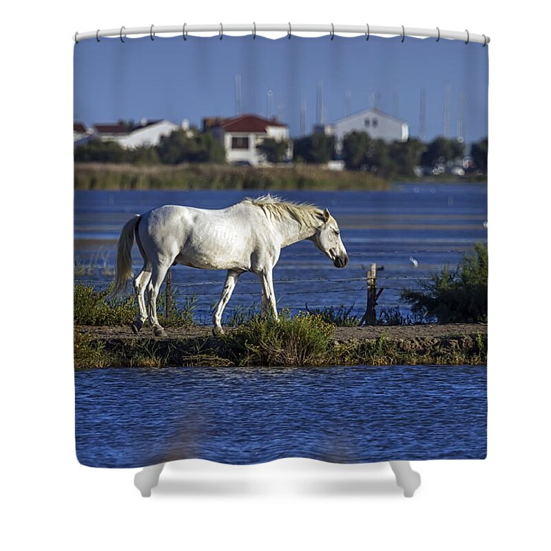 Horse Shower Curtain featuring the photograph Camargue horse, France by Elenarts - Elena Duvernay photo