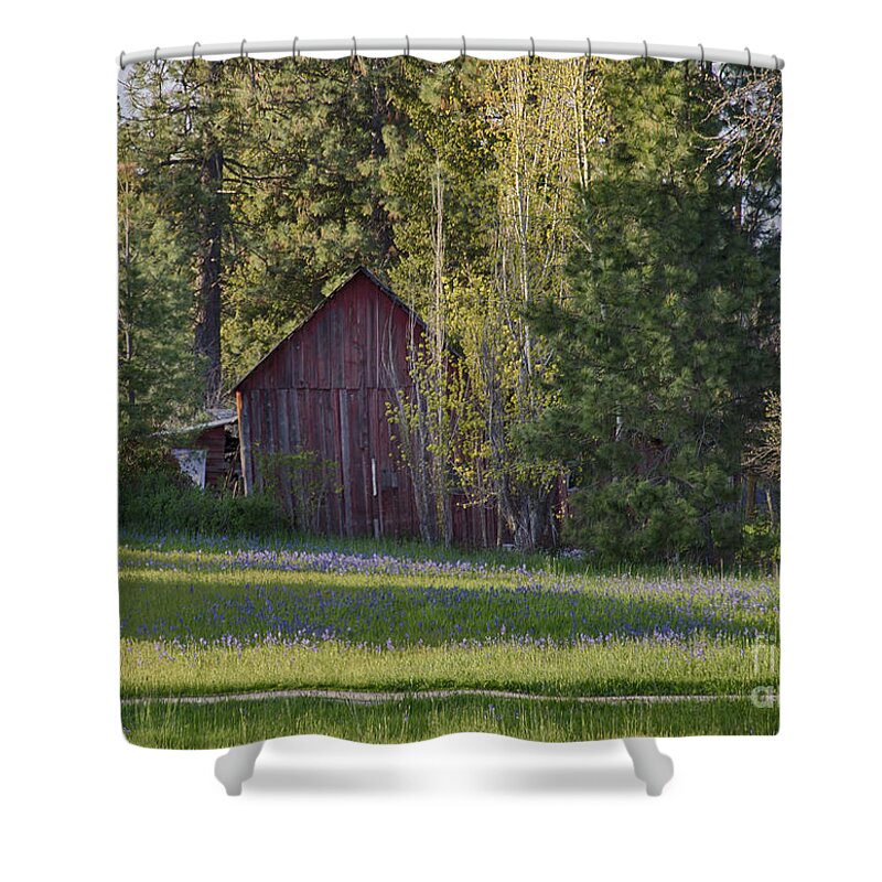 Idaho Panhandle Shower Curtain featuring the photograph Camas and Barn by Idaho Scenic Images Linda Lantzy