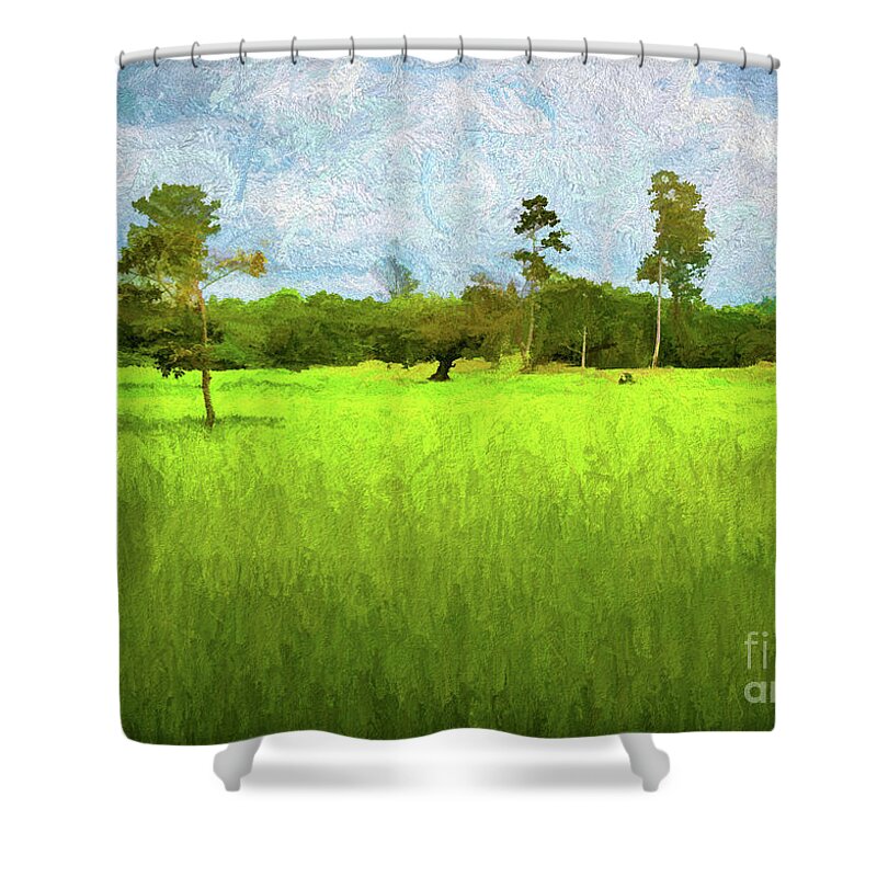 Cambodia Shower Curtain featuring the digital art Cambodian Landscape Grass Trees Paint by Chuck Kuhn
