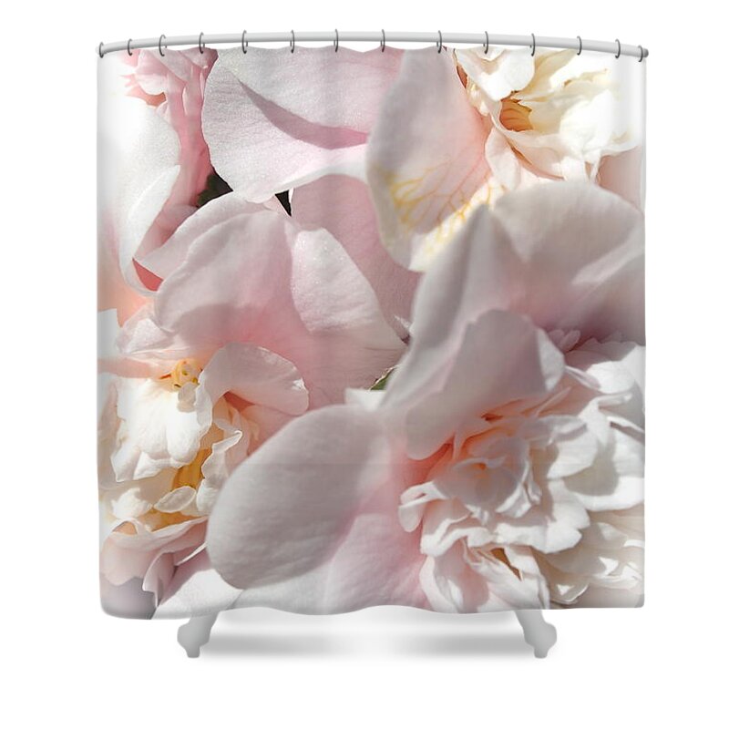Camellia Shower Curtain featuring the photograph Camellias Softly by Michele Myers