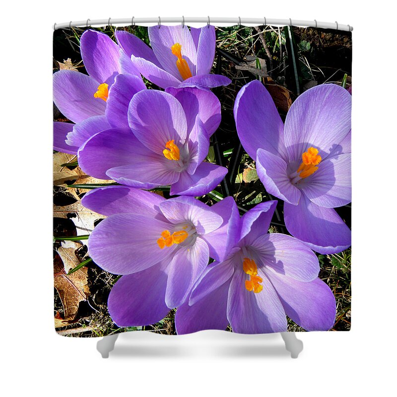 Spring Shower Curtain featuring the photograph Can you say PURPLE by Kim Galluzzo Wozniak