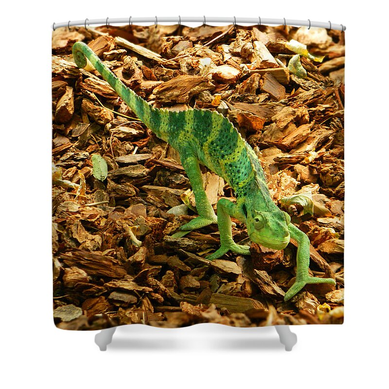 Can You See Me Now Shower Curtain featuring the photograph Can You See Me Now? by Emmy Marie Vickers