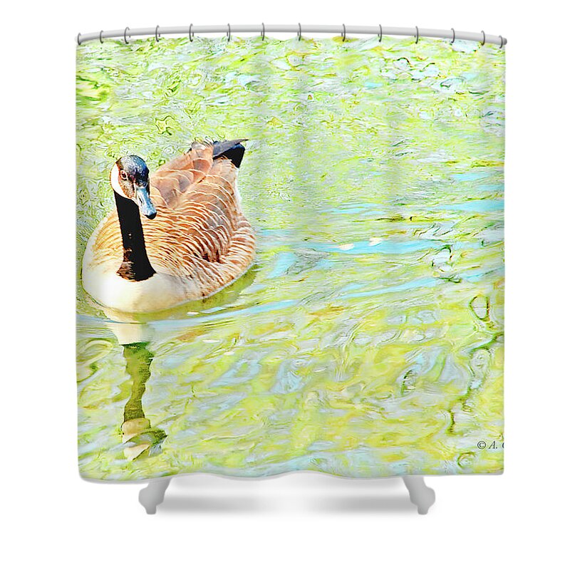 Canada Goose Shower Curtain featuring the photograph Canada Goose on a Stream by A Macarthur Gurmankin