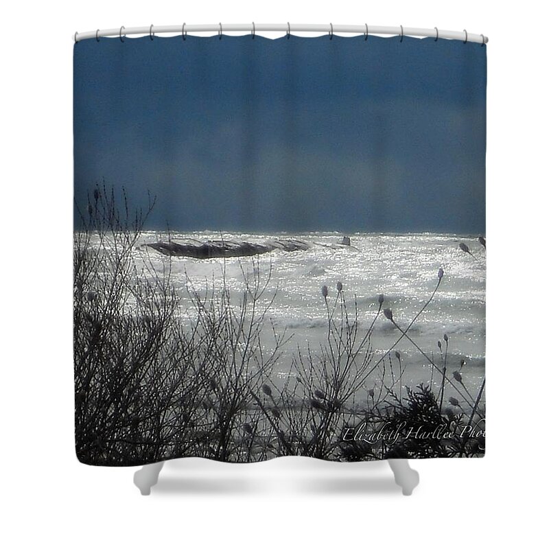  Shower Curtain featuring the photograph Canadian Storm by Elizabeth Harllee