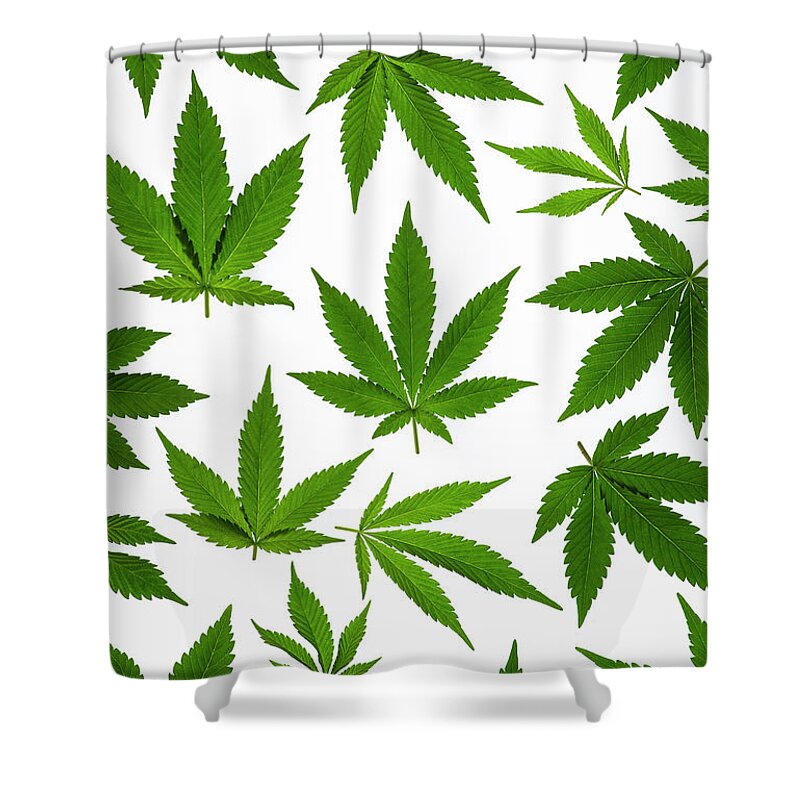 Cannabis Sativa Shower Curtain featuring the photograph Cannabis by Tim Gainey