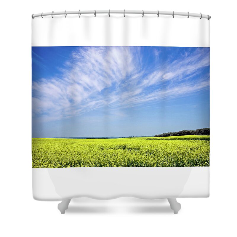 Prairie Shower Curtain featuring the photograph Canola Blue by Keith Armstrong