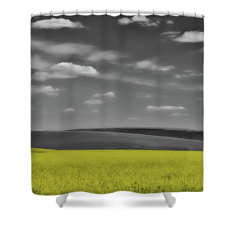 Agricultural Shower Curtain featuring the photograph Canola Field by Don Schwartz