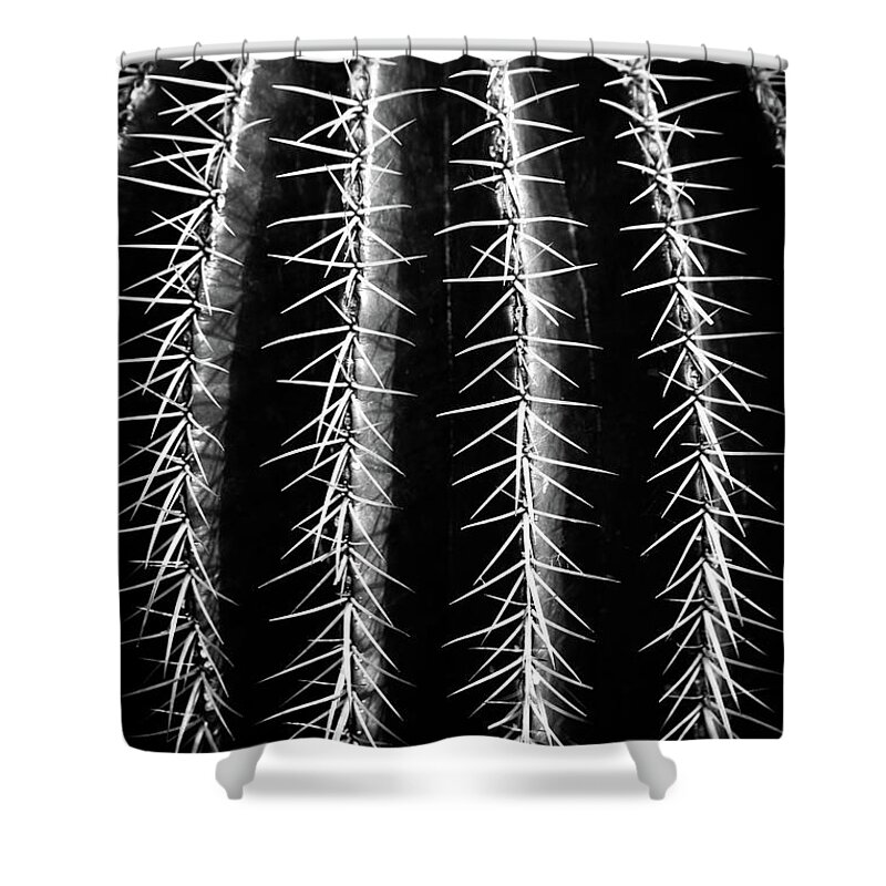Cactus Shower Curtain featuring the photograph Can't Touch This by Dorit Fuhg