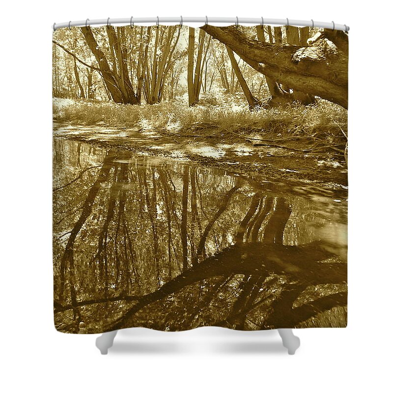 Nature Shower Curtain featuring the photograph Canton Canoe Trip 2016 38 by George Ramos
