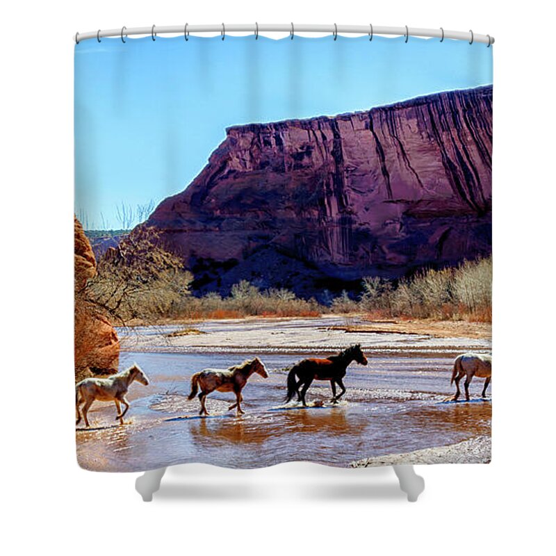 Free Range Shower Curtain featuring the photograph Canyon de Chelly National Monument by Thomas R Fletcher