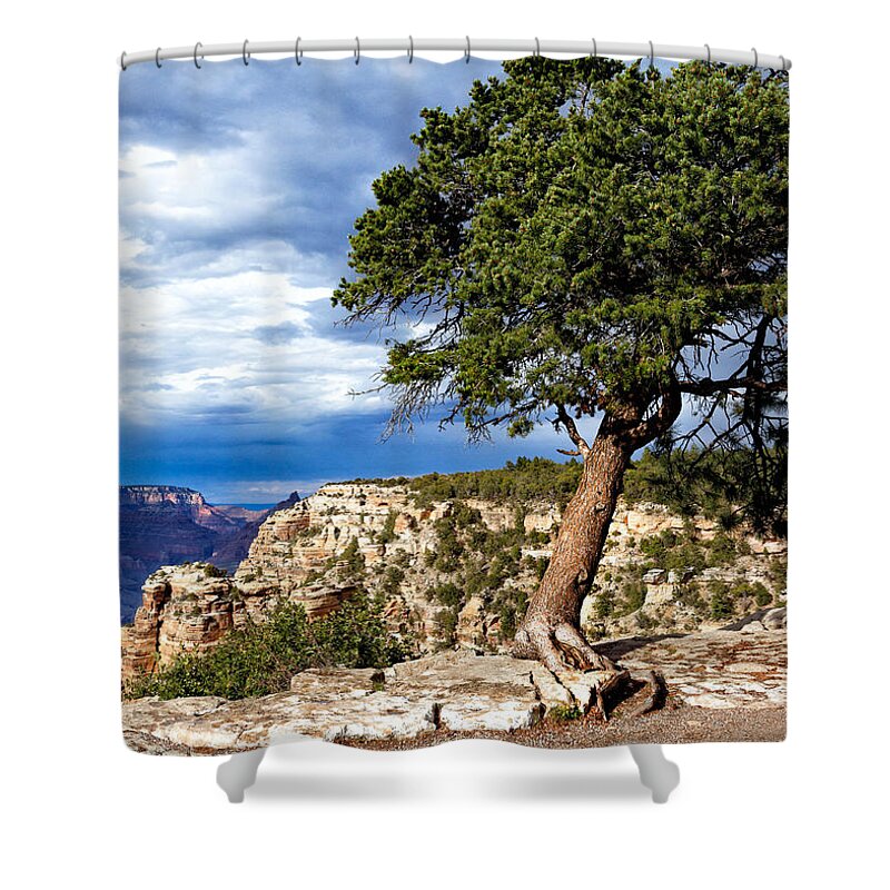 Canyon Shower Curtain featuring the photograph Canyon's Edge by Nicholas Blackwell