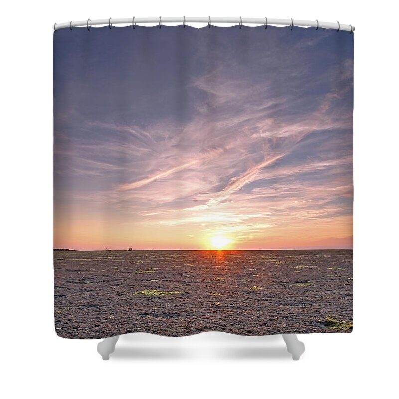 Jellyfish Shower Curtain featuring the photograph Cape Cod Jellyfish by Juergen Roth