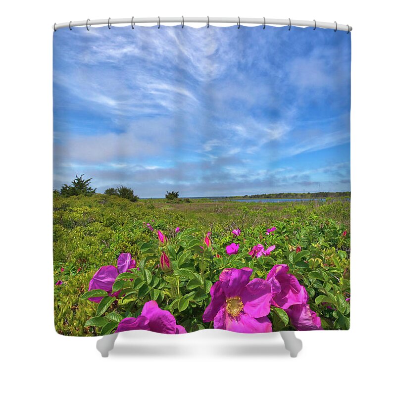 Mashpee National Wildlife Refuge Shower Curtain featuring the photograph Cape Cod Wild Roses at the Mashpee National Wildlife Refuge by Juergen Roth