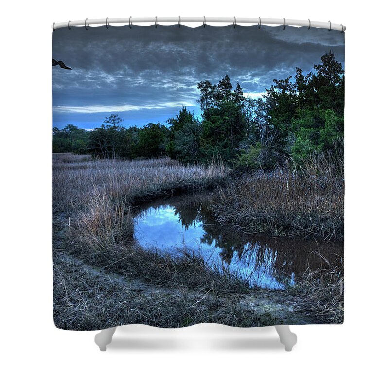  Shower Curtain featuring the photograph Cape Fear Tide Pool by Phil Mancuso