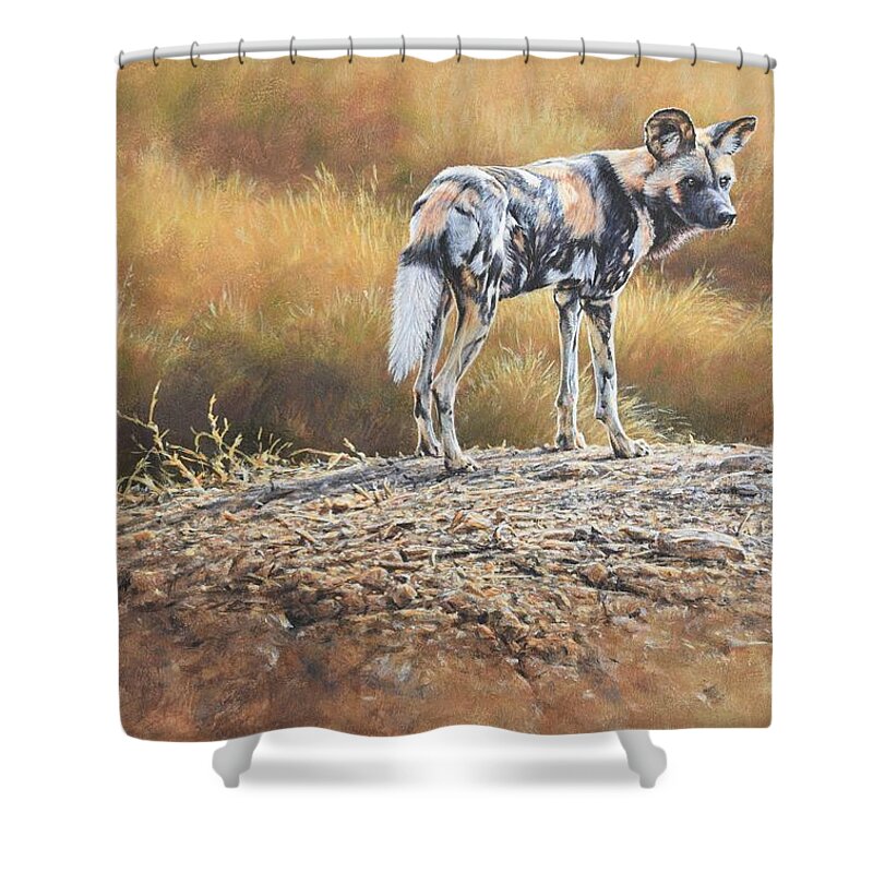 Wildlife Paintings Shower Curtain featuring the painting Cape Hunting Dog by Alan M Hunt
