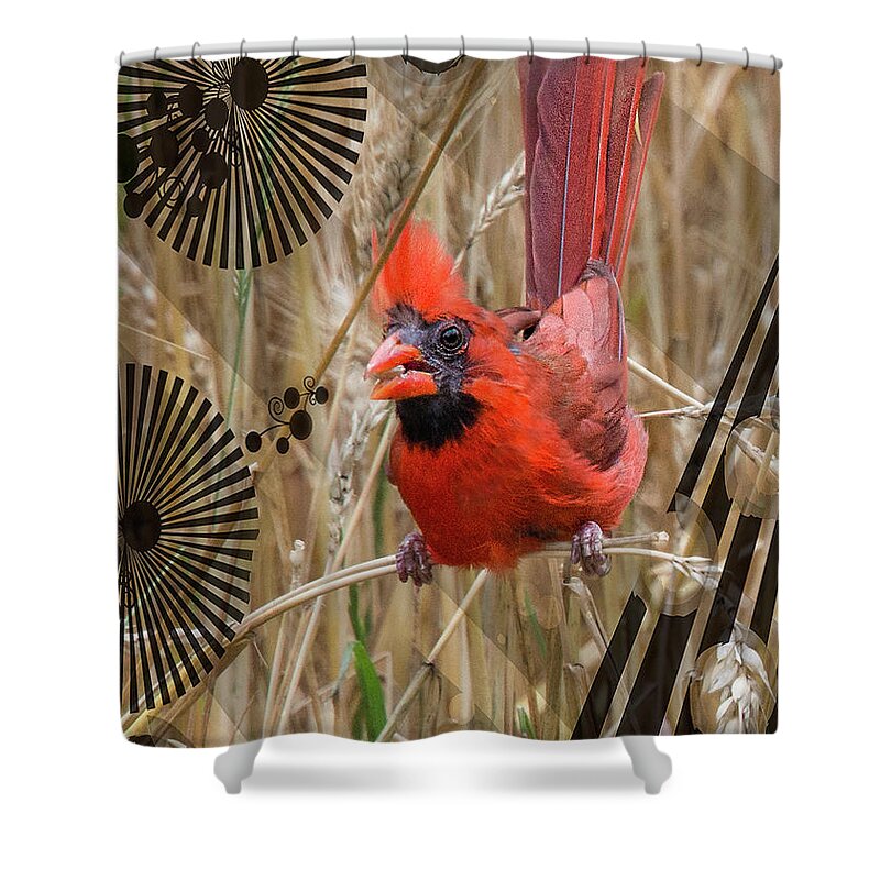 Cardinal Shower Curtain featuring the photograph Cardinal by Sandra Schiffner