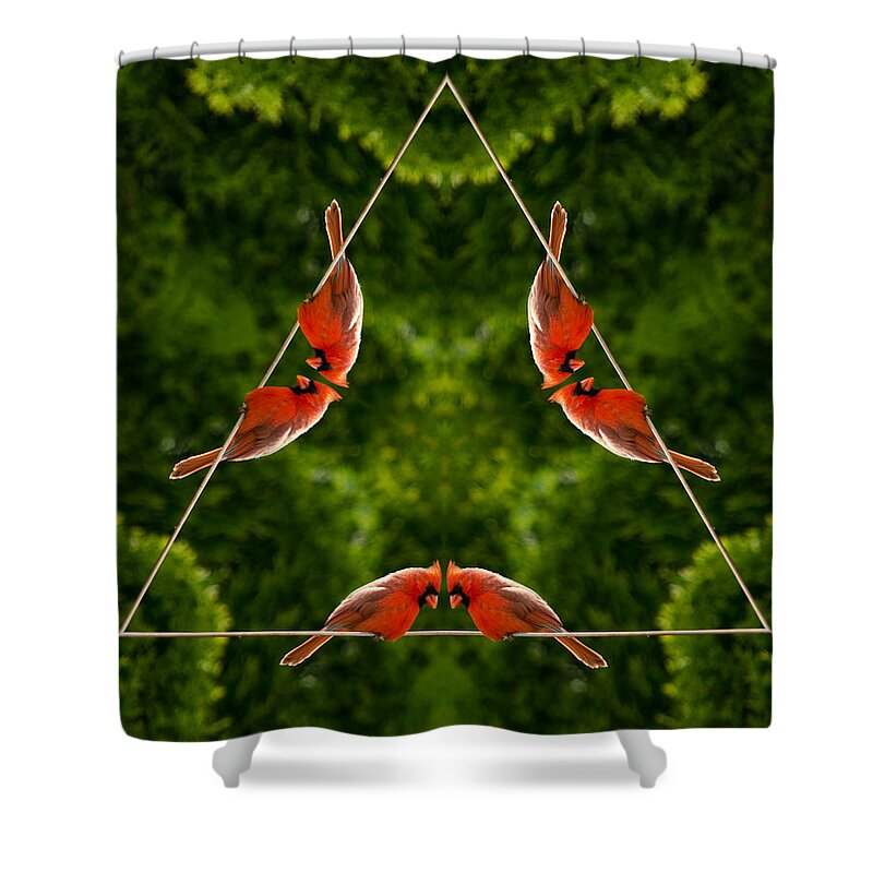 Male Cardinals Shower Curtain featuring the photograph Cardinal Triangle by Crystal Wightman