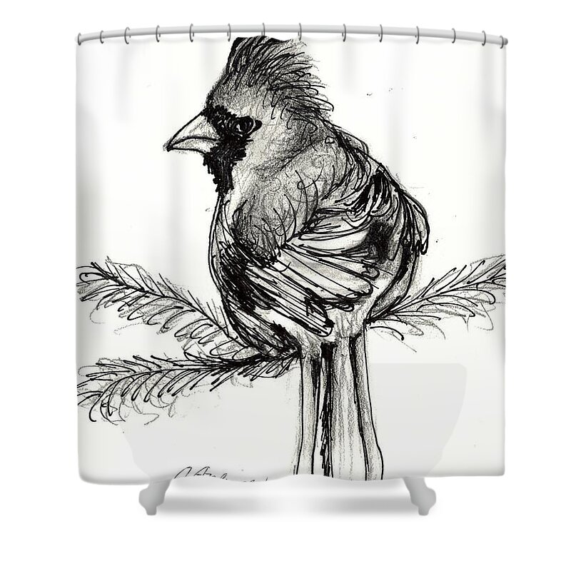 Cardinal Shower Curtain featuring the drawing Cardinals Rule by Carol Allen Anfinsen