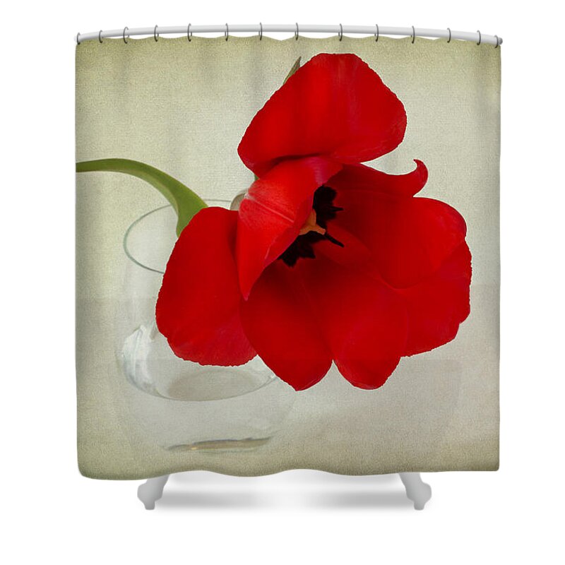 Red Tulip Shower Curtain featuring the photograph Carmen by Marina Kojukhova