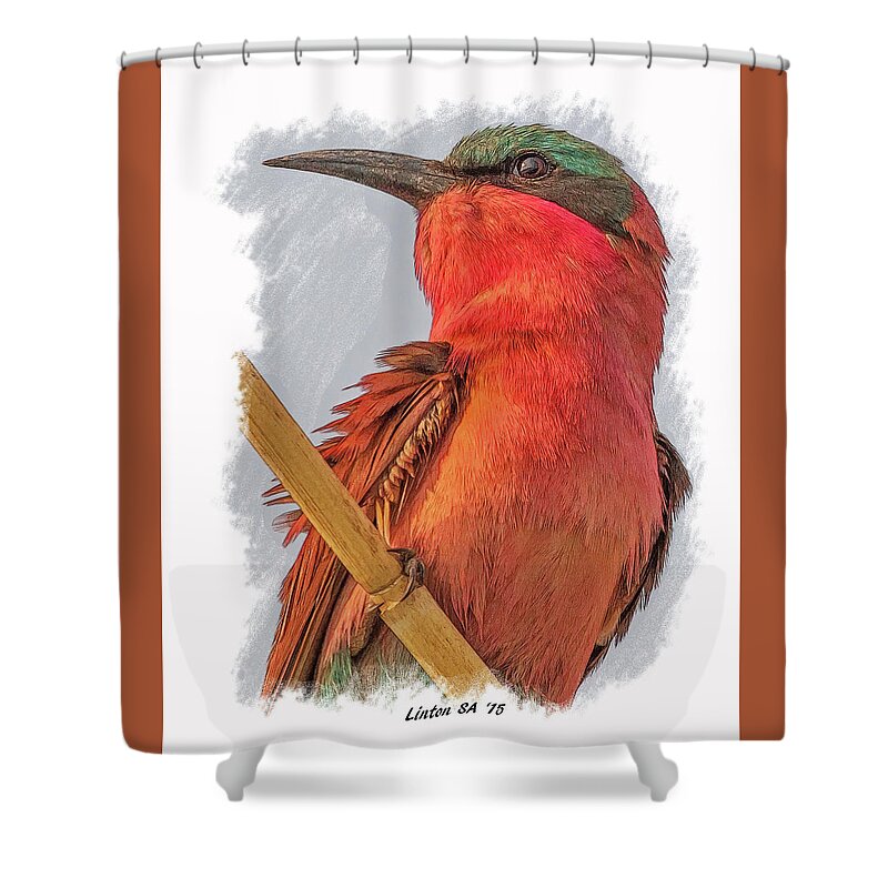 African Bee-eater Shower Curtain featuring the digital art African Carmine Bee-eater by Larry Linton