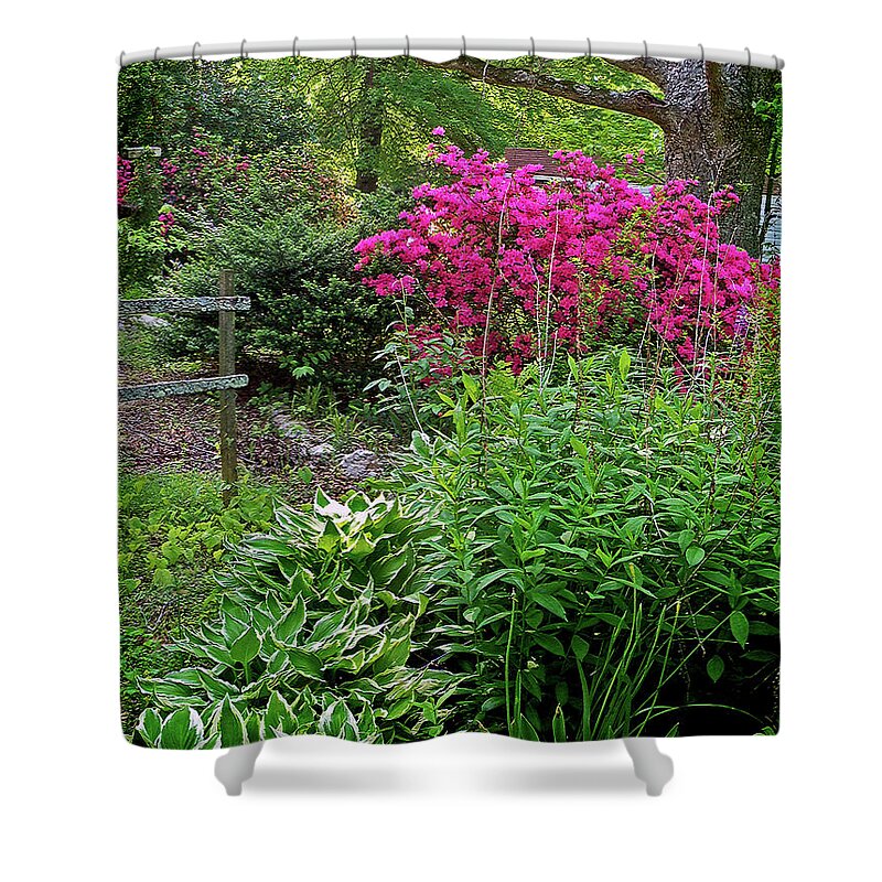 Spring Shower Curtain featuring the photograph Carolina Spring Garden by Pat Davidson