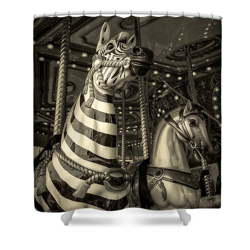 Carousel Shower Curtain featuring the photograph Carousel Zebra by Caitlyn Grasso