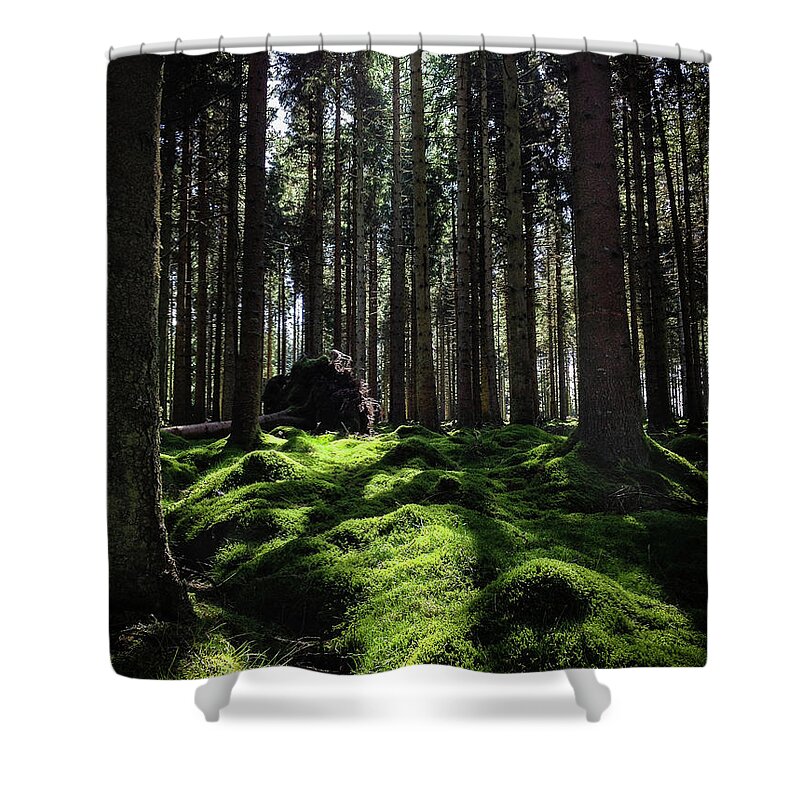 England Shower Curtain featuring the photograph Carpet of Verdacy by Geoff Smith