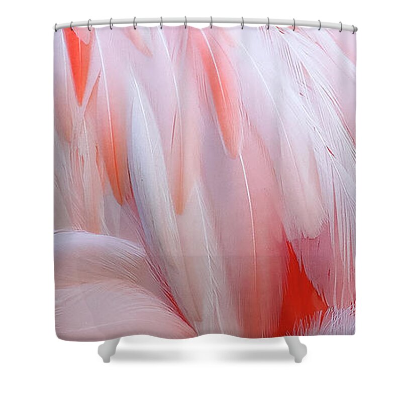 Feathers Shower Curtain featuring the photograph Cascading feathers by Elvira Butler