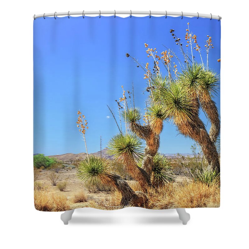 Big Bend National Park Shower Curtain featuring the photograph Cast of Desert Characters by Sylvia J Zarco