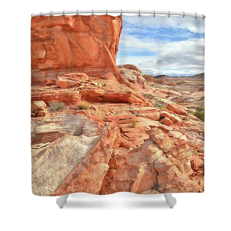 Valley Of Fire State Park Shower Curtain featuring the photograph Castle High Above Wash 5 in Valley of Fire by Ray Mathis