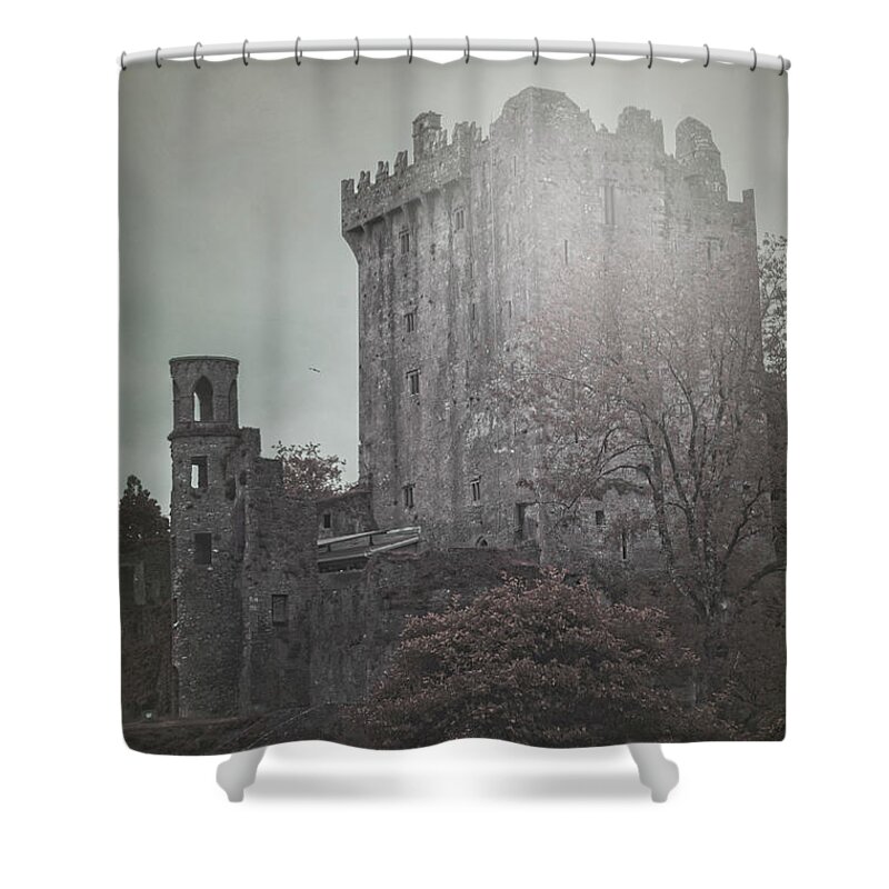 Castle Vignette Shower Curtain featuring the photograph Castle Vignette by Sharon Popek