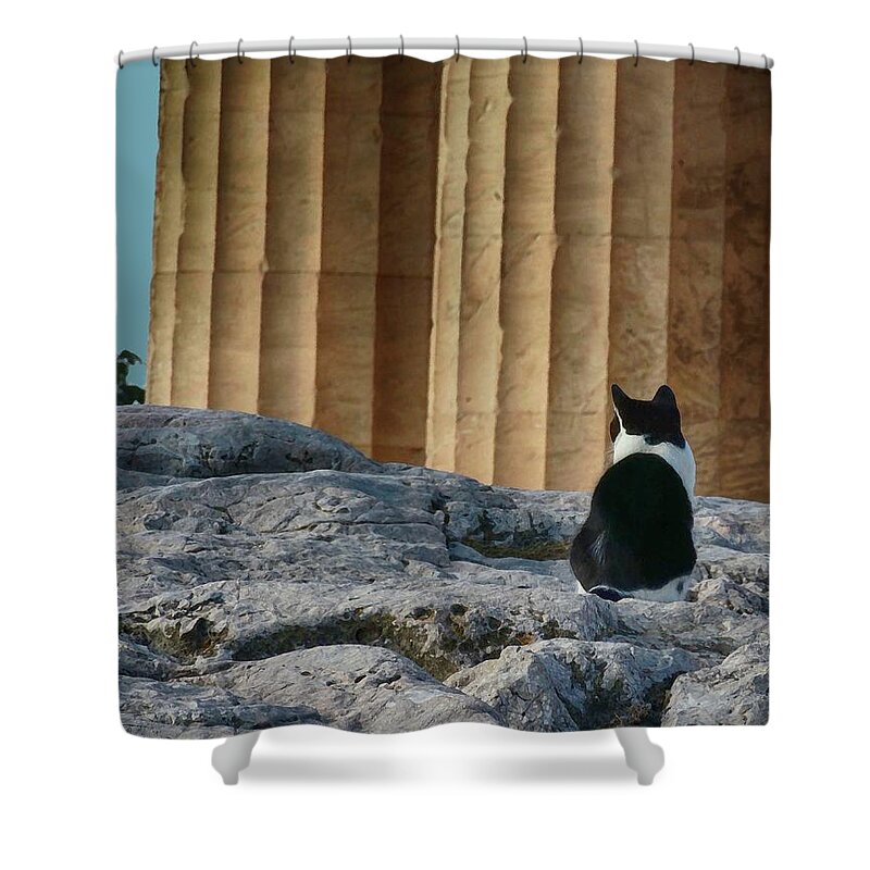 Cats Shower Curtain featuring the photograph Cat at Parthenon, by Coke Mattingly