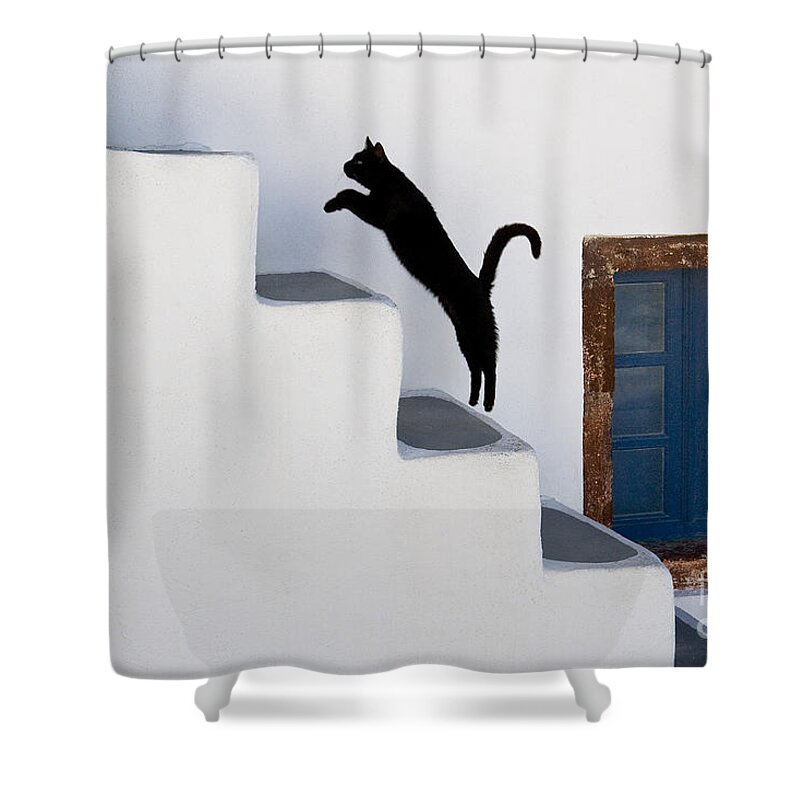 Cat Shower Curtain featuring the photograph Cat Climbing Stairs by Jean-Louis Klein & Marie-Luce Hubert
