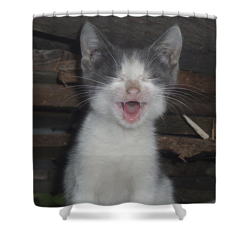  Shower Curtain featuring the photograph Cat by Kristian Dolo