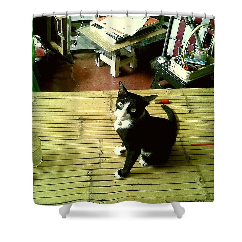 Cat Shower Curtain featuring the photograph Cat on A Bamboo Litter by Sukalya Chearanantana