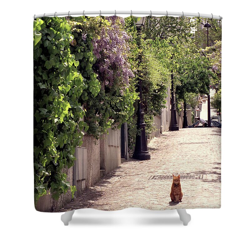 Paris Shower Curtain featuring the photograph Cat on Cobblestone by Frank DiMarco