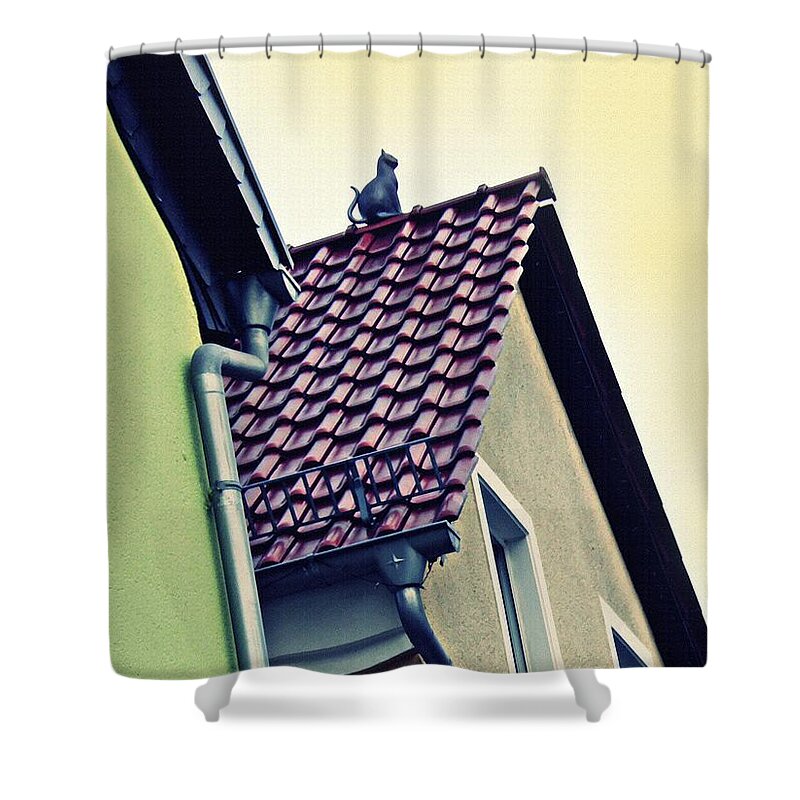 Cat Shower Curtain featuring the photograph Cat on the Roof by Sarah Loft