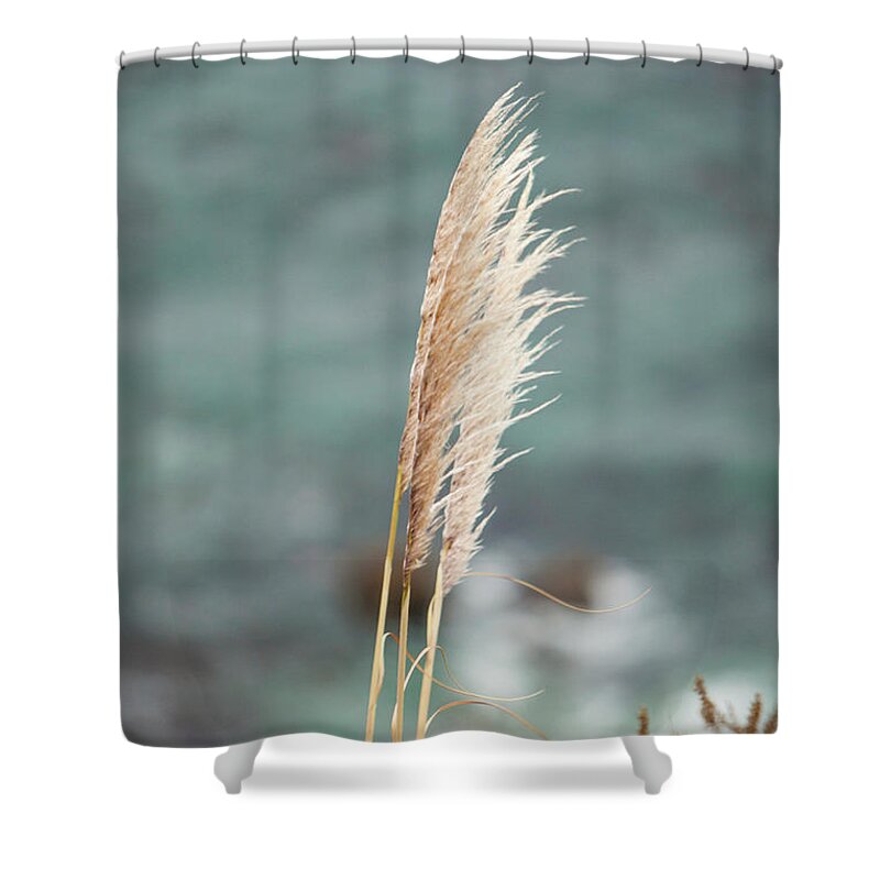 Cat Shower Curtain featuring the photograph Cat tail on the cliff by Jason Hughes