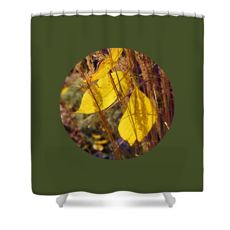 Golden Leaves Shower Curtain featuring the photograph Catching Some Gold by Mary Wolf