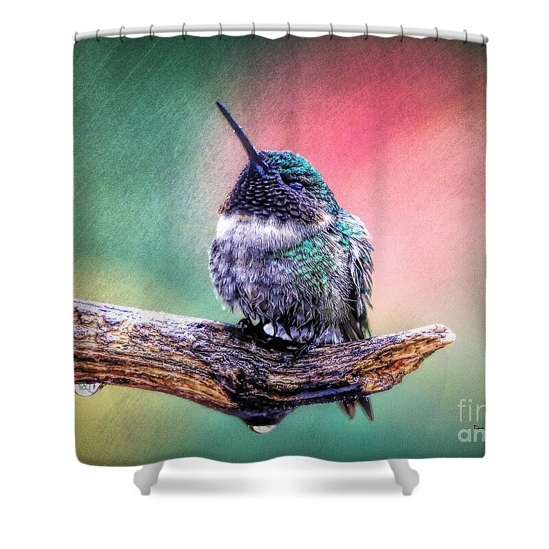 Hummingbird Shower Curtain featuring the photograph Catnapping In The Rain by Tina LeCour