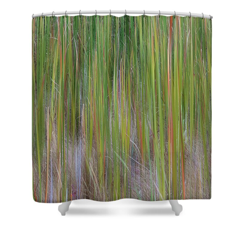 Abstract Shower Curtain featuring the photograph Cattail Abstract #2 by Patti Deters